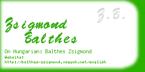 zsigmond balthes business card